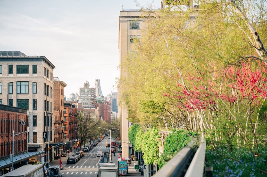 A Chelsea street seen from the High Line in spring