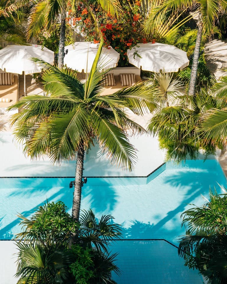 Palm trees and white umbrellas around a turquoise pool from above